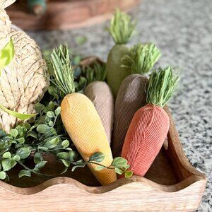 Set/5 Plush Fabric Carrots